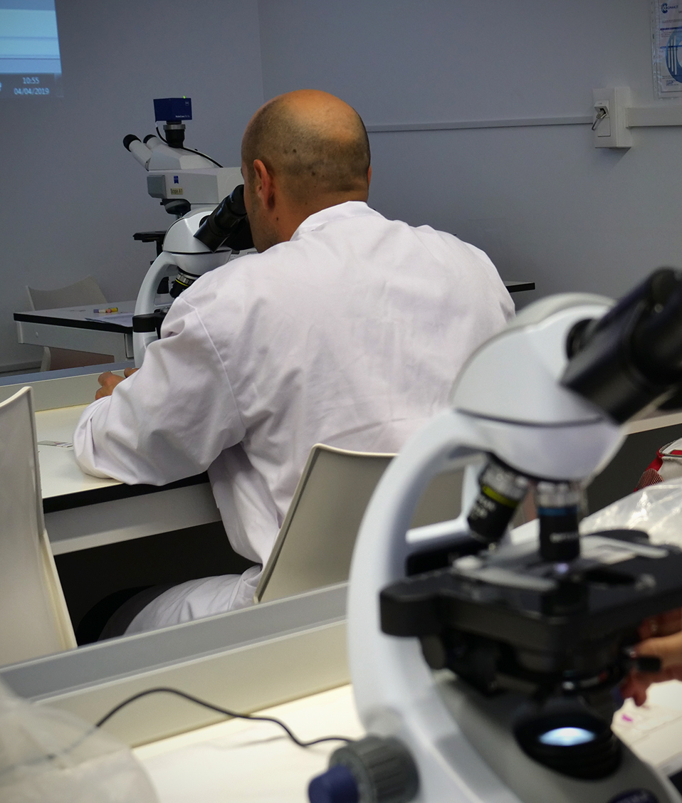 Una estudiante de la Facultad de Medicina utiliza un microscopio durante una sesión de prácticas