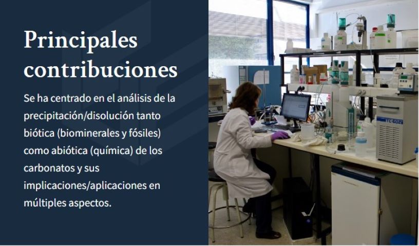Principales contribuciones