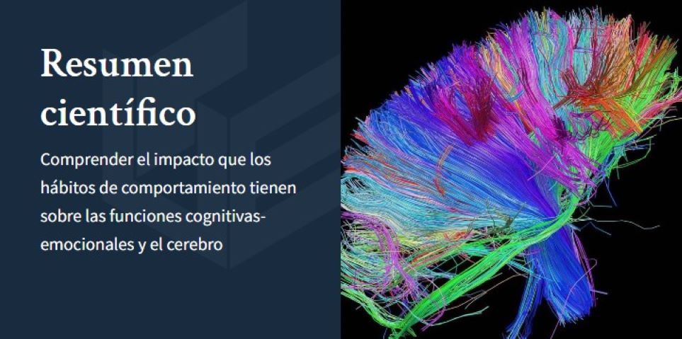 Resumen científico CCS