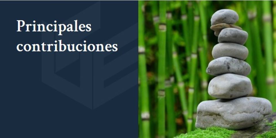 Principales contribuciones