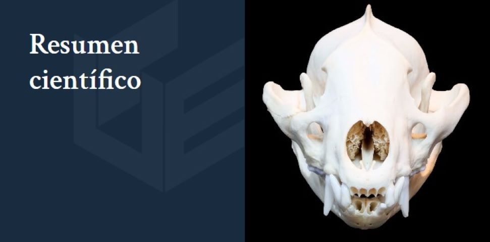 Resumen científico Archaeometrical Studies