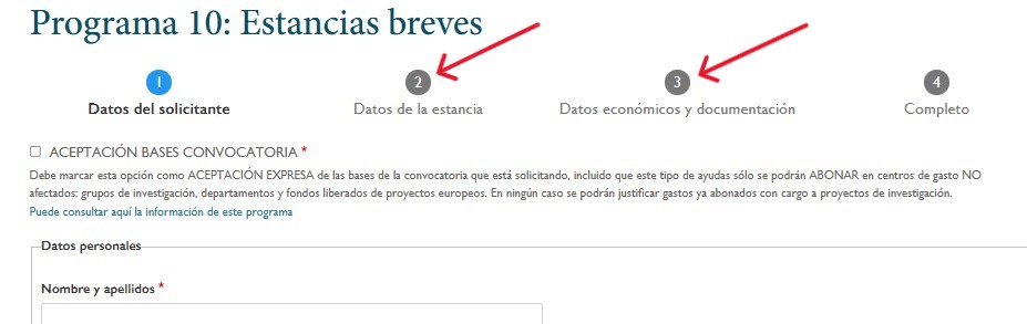 Páginas del formulario de ayudas