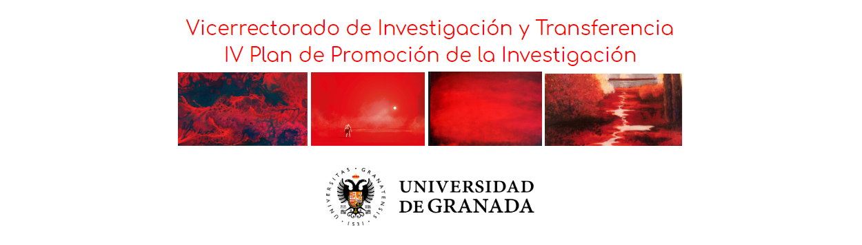 pie-iv-plan-promocion